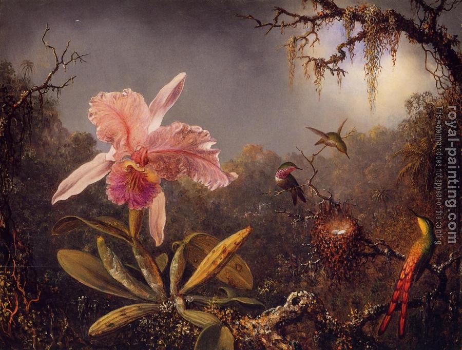 Martin Johnson Heade : Cattleya Orchid and Three Brazilian Hummingbirds